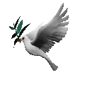 Colombe